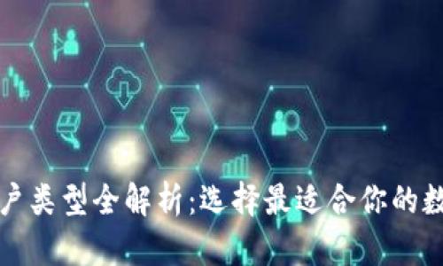 数字钱包账户类型全解析：选择最适合你的数字支付方式