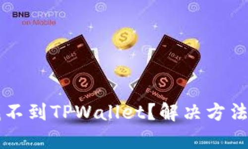 苹果手机找不到TPWallet？解决方法与技巧解析
