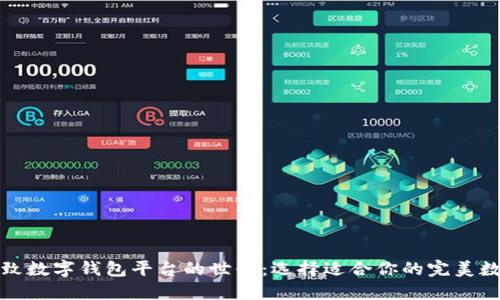 探索精致数字钱包平台的世界：选择适合你的完美数字钱包