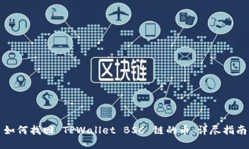 如何找回 TPWallet BSC 链的币：详尽指南