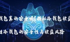 区块链冷钱包真的安全吗