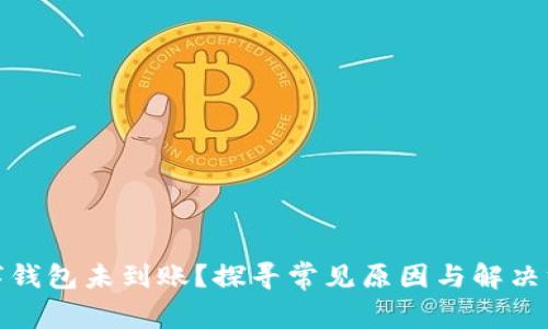 数字钱包未到账？探寻常见原因与解决方案