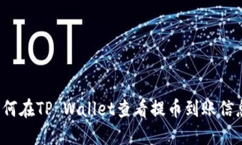 如何在TP Wallet查看提币到账信息？