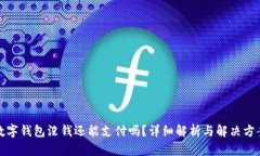 数字钱包没钱还能支付吗