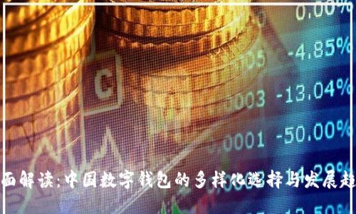 全面解读：中国数字钱包的多样化选择与发展趋势