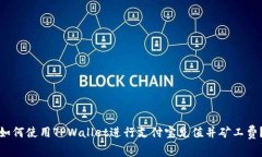 如何使用TPWallet进行支付宝