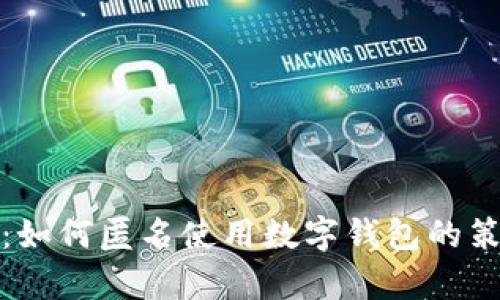 全面解析：如何匿名使用数字钱包的策略与技巧