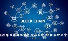 掌握数字钱包超限额支付