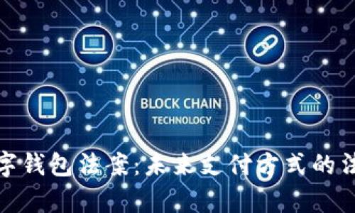 探秘数字钱包法案：未来支付方式的法律保障