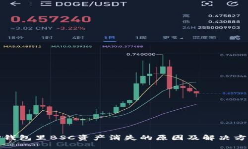 TP钱包里BSC资产消失的原因及解决方案