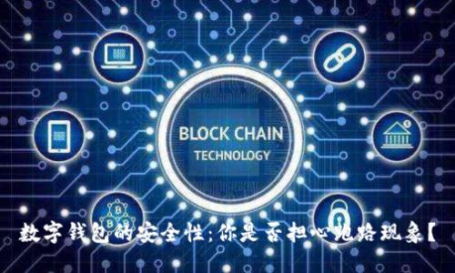 数字钱包的安全性：你是否担心跑路现象？