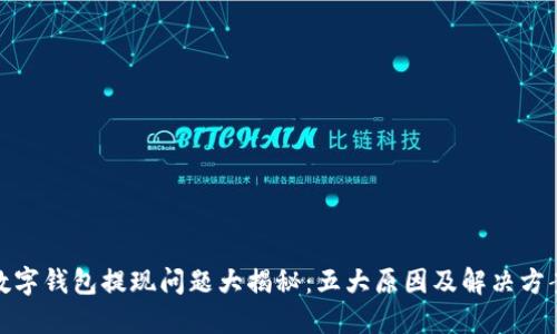 数字钱包提现问题大揭秘：五大原因及解决方案