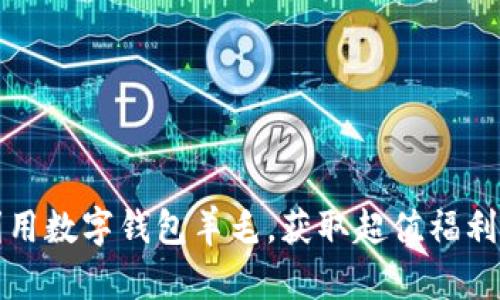 如何巧妙利用数字钱包羊毛，获取超值福利和现金返利