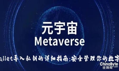 TPWallet导入私钥的详细指南：安全管理你的数字资产