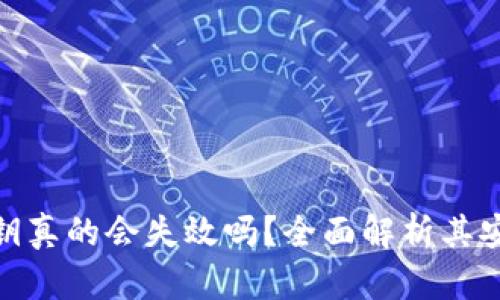 加密钱包密钥真的会失效吗？全面解析其安全性与风险