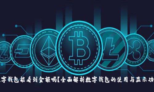 数字钱包能看到金额吗？全面解析数字钱包的使用与显示功能