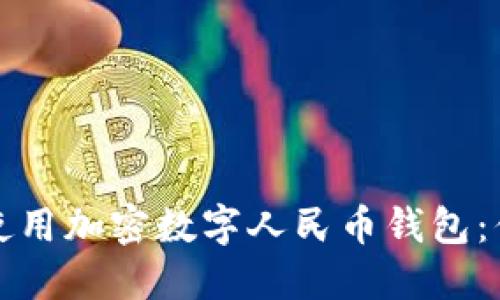 如何安全地使用加密数字人民币钱包：你的完美指南