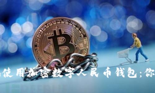 如何安全地使用加密数字人民币钱包：你的完美指南