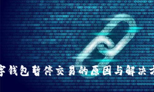 数字钱包暂停交易的原因与解决方案