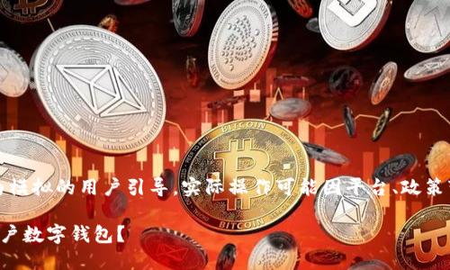注意：以下内容为模拟的用户引导，实际操作可能因平台、政策变化而有所不同。

如何安全关闭公户数字钱包？