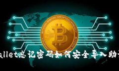 TPWallet忘记密码如何安全导