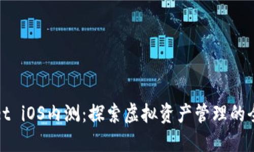 TPWallet iOS内测：探索虚拟资产管理的全新体验