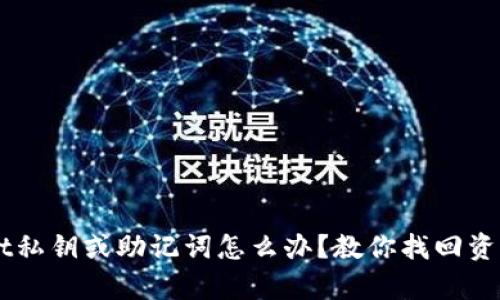 丢失TPWallet私钥或助记词怎么办？教你找回资产的有效方法