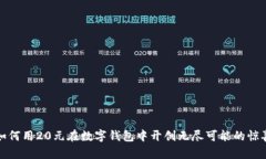 如何用20元在数字钱包中开