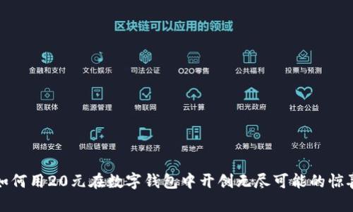 如何用20元在数字钱包中开创无尽可能的惊喜