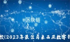   轻松掌控！2023年最佳马