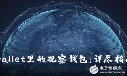 如何管理tpwallet里的观察钱包：详尽指南与注意事项