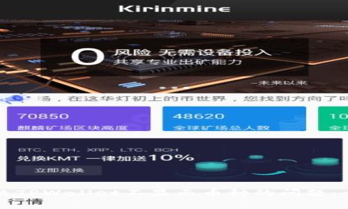 如何解决TPWallet不显示币种的问题：全面指南
