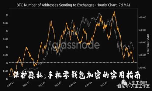 保护隐私：手机零钱包加密的实用指南
