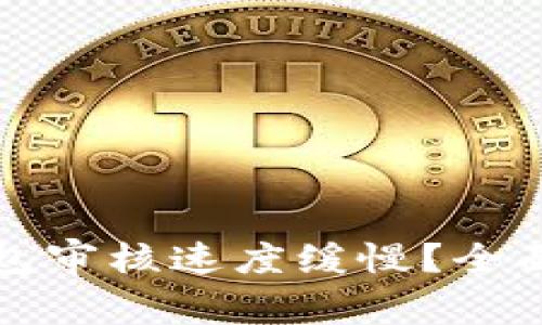为什么数字钱包审核速度缓慢？全面解析背后机制