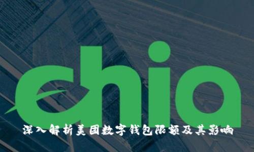 深入解析美团数字钱包限额及其影响