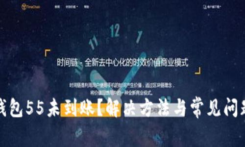 数字钱包55未到账？解决方法与常见问题解析