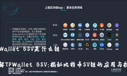 TPWallet BSV是什么链

了解TPWallet BSV：揭秘比特币SV链的应用与技术