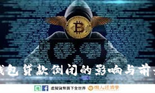 数字钱包贷款倒闭的影响与前景分析
