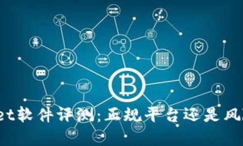 TPWallet软件评测：正规平台还是风险投资？