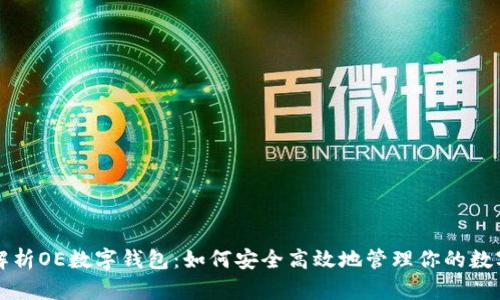 全面解析OE数字钱包：如何安全高效地管理你的数字资产