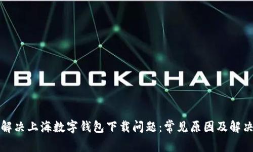 如何解决上海数字钱包下载问题：常见原因及解决方案