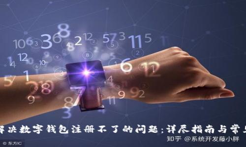 如何解决数字钱包注册不了的问题：详尽指南与常见问答