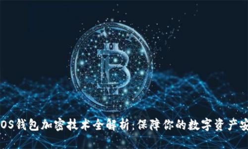 : iOS钱包加密技术全解析：保障你的数字资产安全