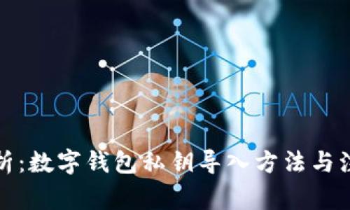 全面解析：数字钱包私钥导入方法与注意事项