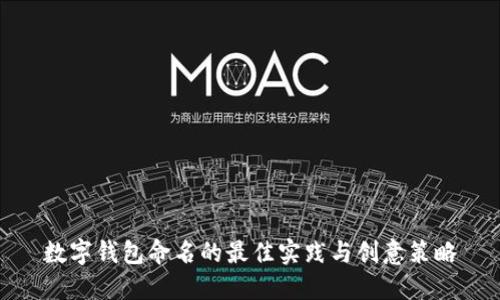数字钱包命名的最佳实践与创意策略