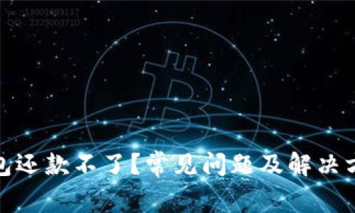 数字钱包还款不了？常见问题及解决方案揭秘