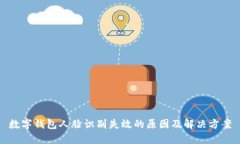 数字钱包人脸识别失效的