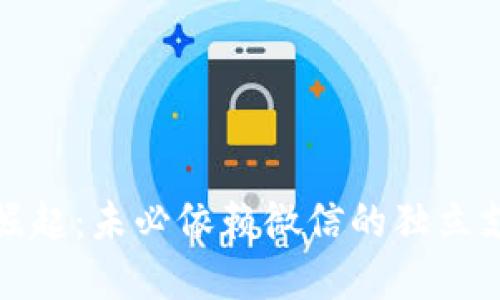 数字钱包的崛起：未必依赖微信的独立支付解决方案