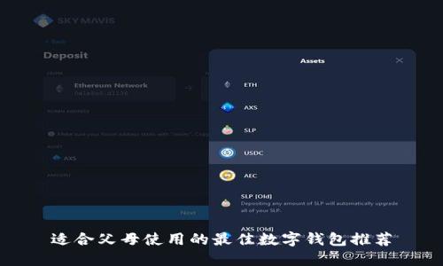 适合父母使用的最佳数字钱包推荐