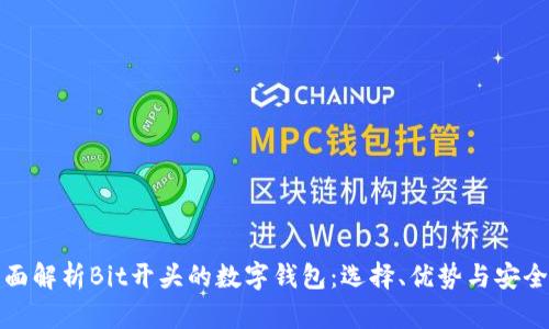 全面解析Bit开头的数字钱包：选择、优势与安全性